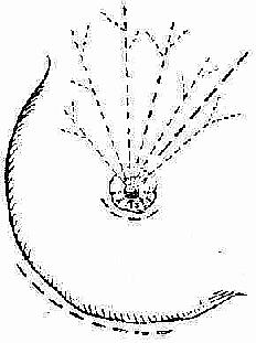 �鷿ŧ�׵��п�