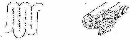 С���۵���������Noble����