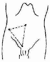 Ƥ���о�������