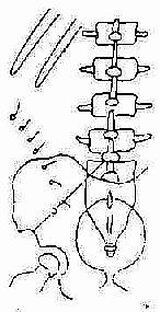 ��������β��λ��