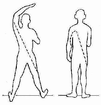 �����������˵���ϵ