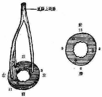 ֱ���϶�������<a href=