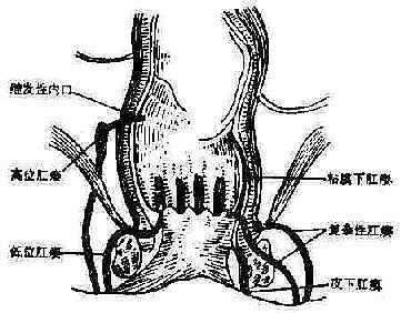 �������͵ĸ���