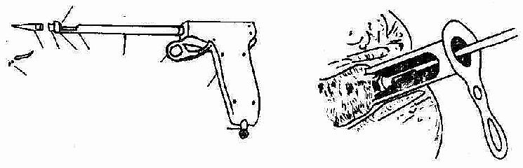 ��е������