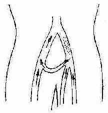 ����������ֲת����