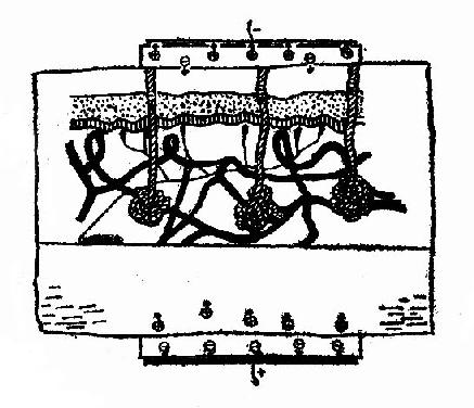 ��ֱ����������ڵ�������ʾ��ͼ