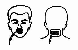 ȣ�������ӵ��뷨