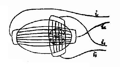 ���ų����γ�