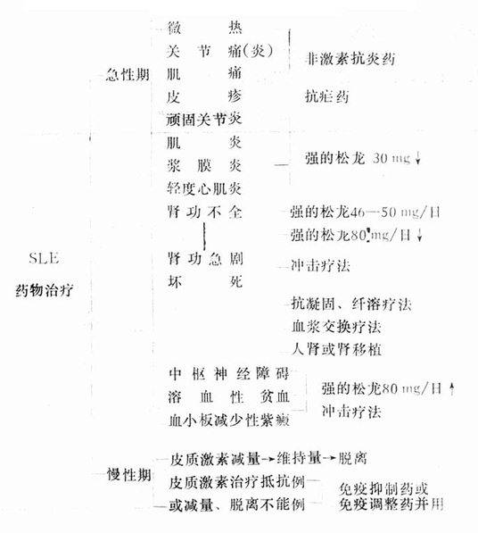 SLE����һ����