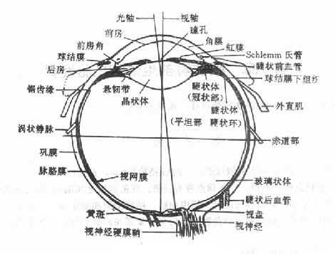 �������ͼ