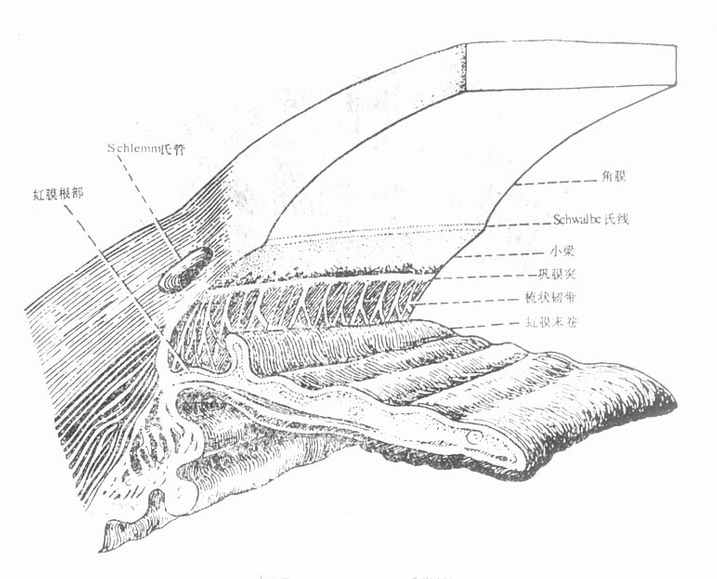 ǰ����ģ��ͼ