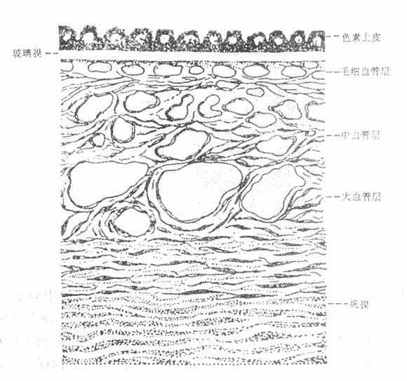 ����Ĥ����