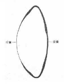 ��״����ǰ����Ƭ