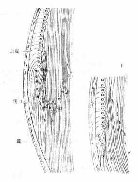 ��״�������������