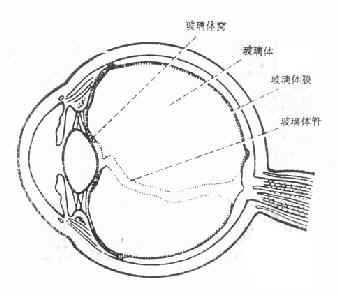 �������������ڵ�λ��