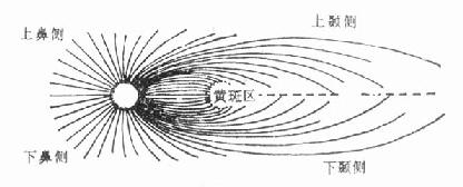 ����Ĥ����ά�ֲ�ʾ��ͼ