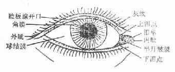 ����ʾ��ͼ