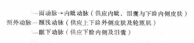 �۵�ѪҺ��Ӧ��