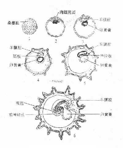 ���߷���������