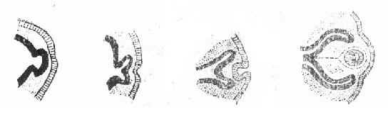 �ӱ���ԭʼ����