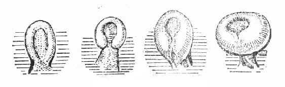 ���ѵ��γ���պ�