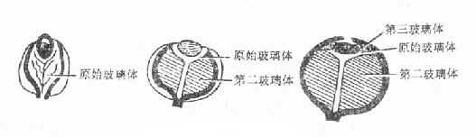 ������ķ���