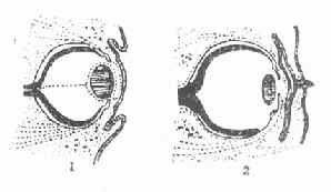 �����ķ���