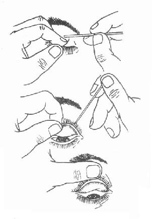 ˫��������ת��