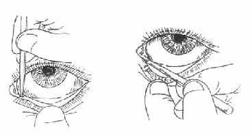 ��С��������