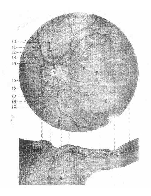 �����۵�ͼ