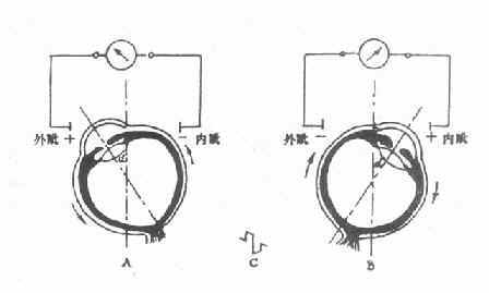 EOG�ļ�¼ԭ��