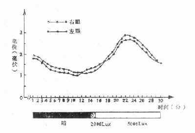 ����EOG��P��T����