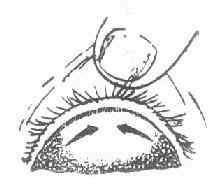 ɳ�۲���ķ�չ����