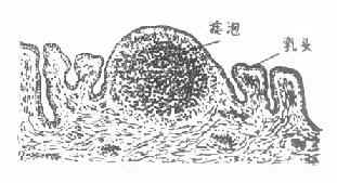 ɳ����ͷ�����ݵĲ�����Ƭ