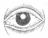 ��״��Ĥ��