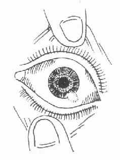 ��ĤƤ��<a href=