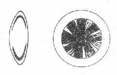 Ƥ���԰�����