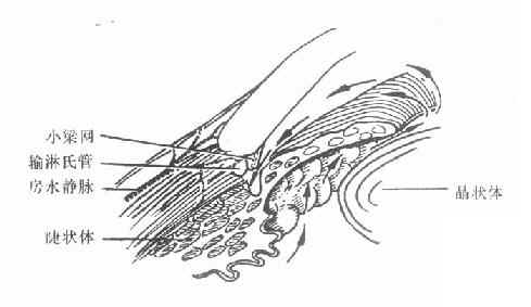 �ս�������ٴ�ǰ��