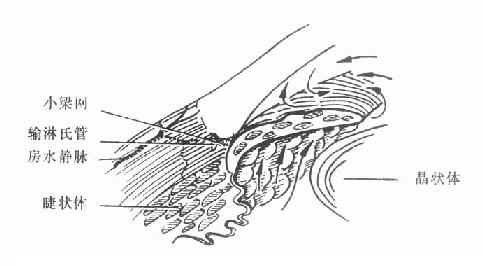 �ս�����ۼ��Է�����