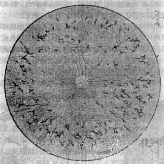 ����Ĥɫ�ر���