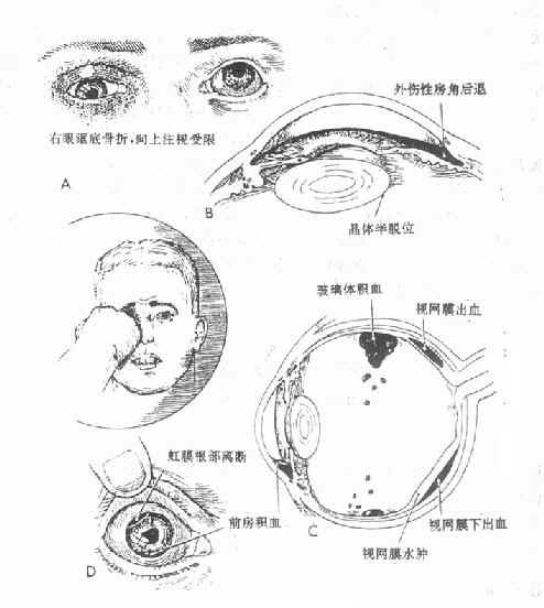 �����۴���