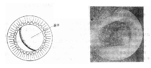 ������λ�����Ծ�����λ