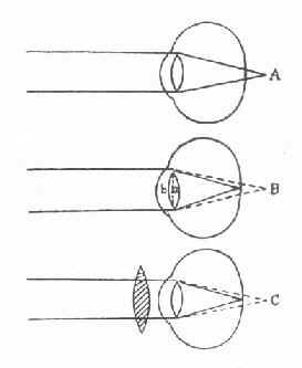 Զ���۵�����״̬������ԭ��