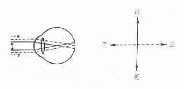 ��������ɢ��