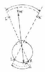 ����Ĥ��������Ұ�ռ�λ�õĹ�ϵ