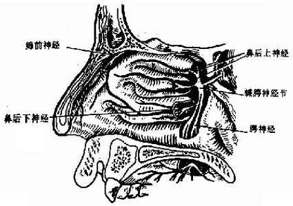 ��ǻ�񾭷ֲ�