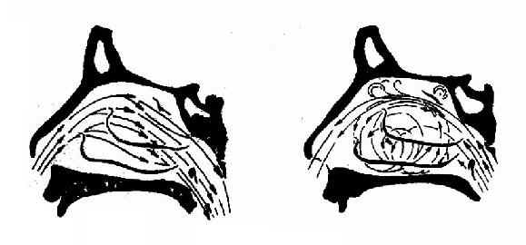 ��ǻ�ĺ�������