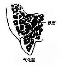 ��ͻ����