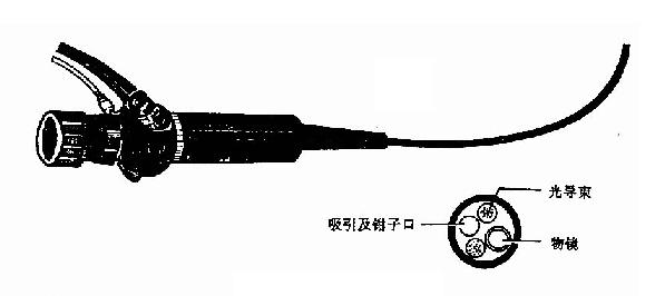 ��ά����