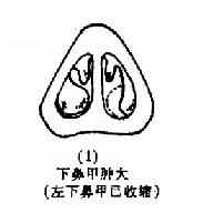 ���Ա���